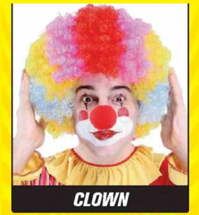 CLOWN WIG