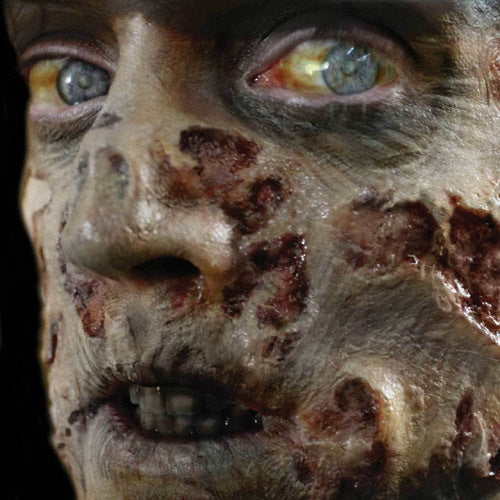 Zombie Rot 3D FX Transfers